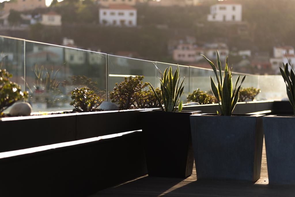 Arts In Penthouse Apartments Til Sol 丰沙尔 外观 照片